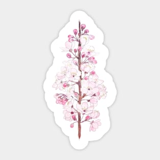 cherry blossom ink and watercolor 3 Sticker